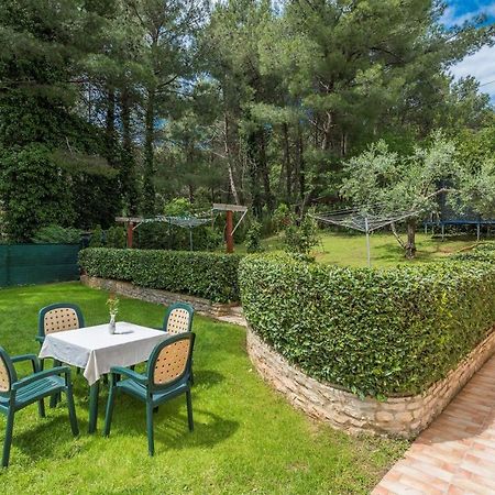 Apartments Rakovac بوريتش المظهر الخارجي الصورة